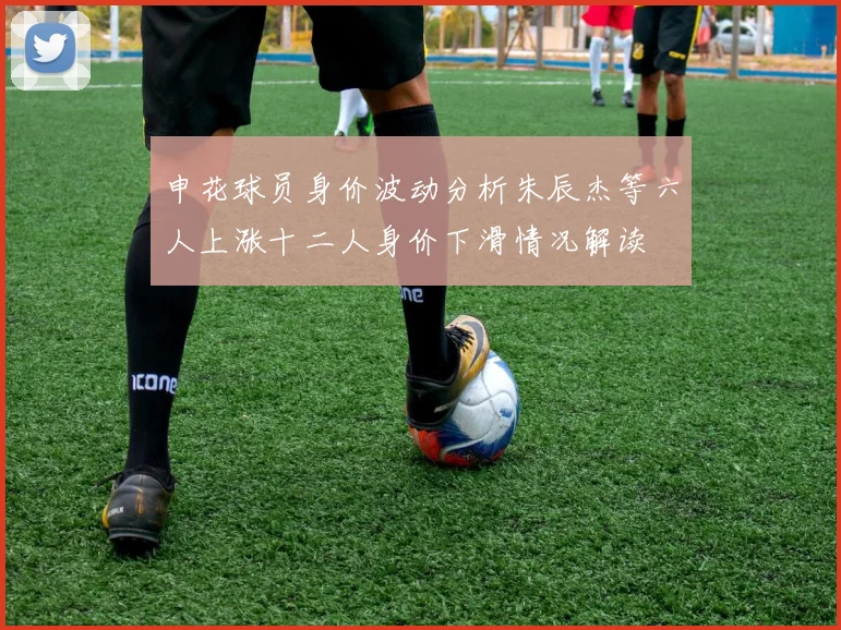 申花球员身价波动分析朱辰杰等六人上涨十二人身价下滑情况解读