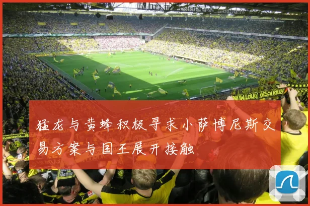 猛龙与黄蜂积极寻求小萨博尼斯交易方案与国王展开接触