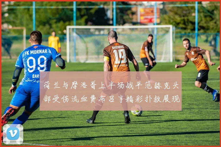 荷兰与摩洛哥上半场战平范赫克头部受伤流血费布吕亨精彩扑救展现实力