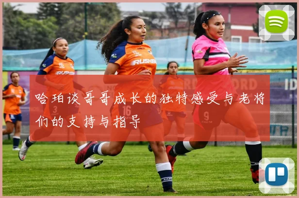 哈珀谈哥哥成长的独特感受与老将们的支持与指导